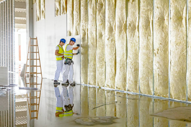 Best Insulation for New Construction  in Richfield Springs, NY